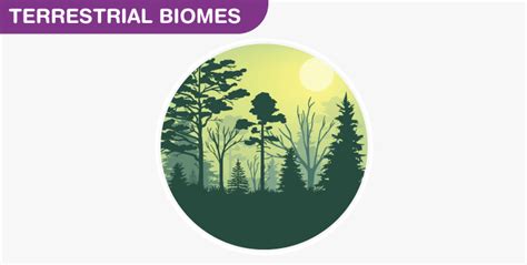 Terrestrial Biomes Biology Libretexts Bank Home