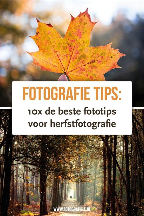 Fotografie Tips Voor Tijdens De Herfst Herfst Herfstfotografie