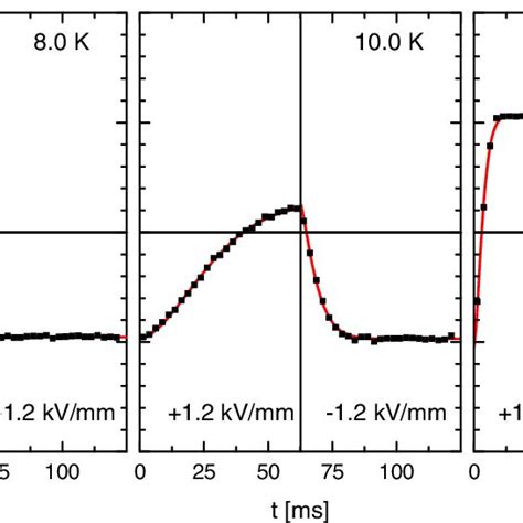 Color Online Time Dependent Measurements Of The Multiferroic