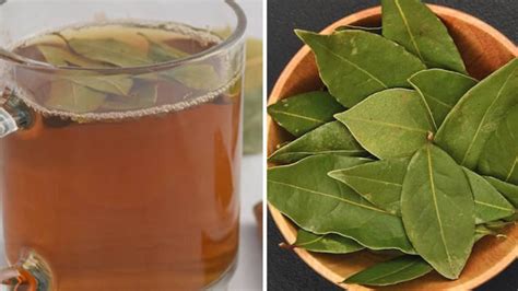 Recette de tisane de laurier bienfaits et les vertus pour la santé