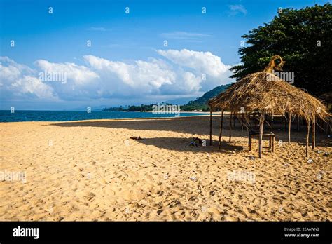 On The Coasts Of Western Area Rural Sierra Leone The Rainforest