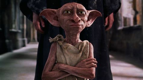 Quiz Duvidamos que você saiba se estas afirmações sobre Dobby de