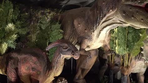 Premium Stock Video Life Sized Dinosaurs On Exhibit At A Jurassic