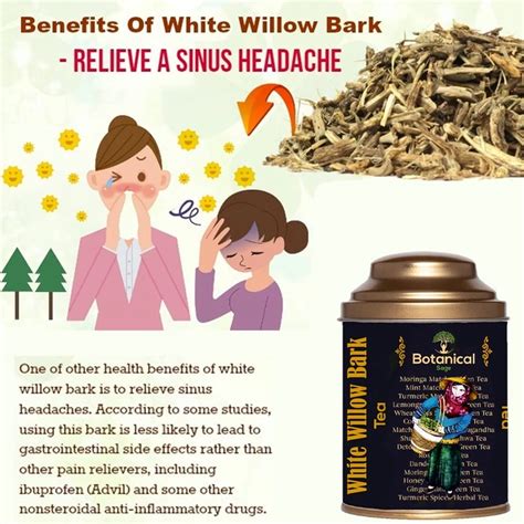 White Willow Bark Tea | Relieves Headache | Selected | Luxury Tea ...