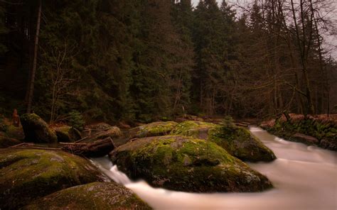 Landscape Forest Waterfall Water Rock Nature Reflection Green