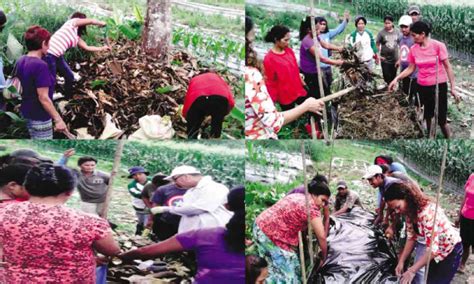 Manobo Farmers Learn Modern Ways To Farm Inquirer News