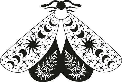 Mystery Moon Moth Vector Illustration Magic Floral Insect On White