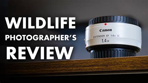 Canon Extender Ef X Iii For Wildlife Photography Review Youtube