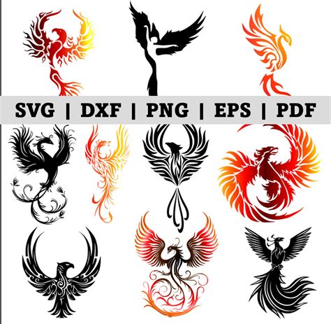 Phoenix Svg Bundle Fire Bird Svg Phoenix Png Svg Eps Dxf Etsy