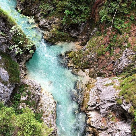 Discover the Best of Austria: 7 Top-Rated forests to Visit