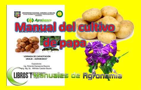 Manejo Del Cultivo De Papa Pdf Gratis Libros Y Manuales De Agronomia