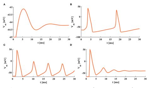 Figure 6 From Memristive Hodgkin Huxley Spiking Neuron Model For