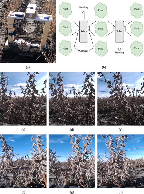 Deep Multiview Image Fusion For Soybean Yield Estimation In Breeding