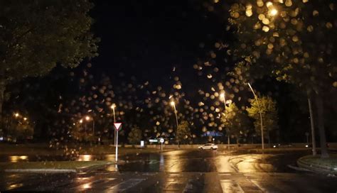 Cuando Llueve Aumentan Los Riesgos De Multa Cu Les Son Las