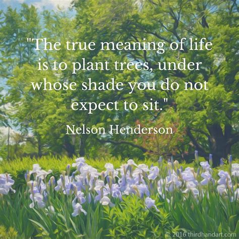 The True Meaning Of Life Is To Plant Trees Under Whose Shade You Do