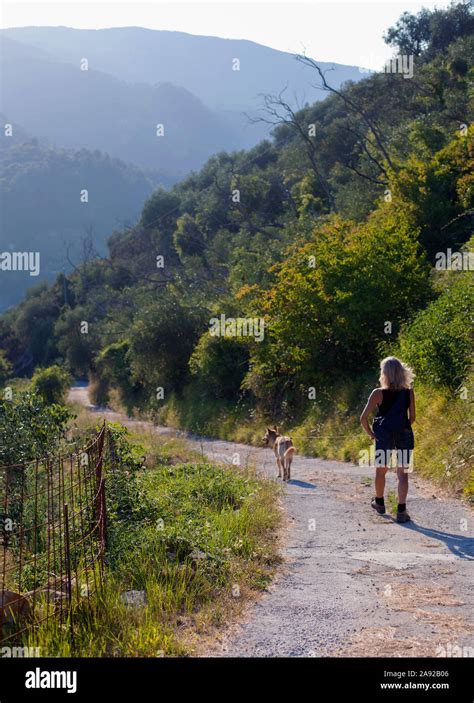 Woman walking her dog Stock Photo - Alamy