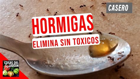 Como Eliminar Hormigas Dentro De La Casa Casero Y Sin Toxicos Eliminar Hormigas Cocina