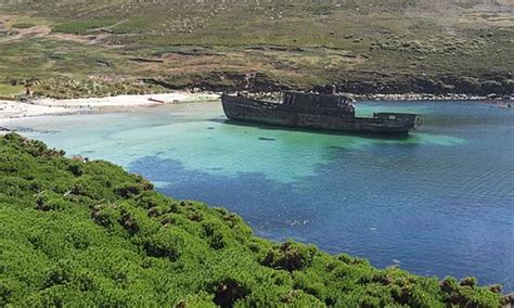 Tourisme à West Falkland 2023 : Visiter West Falkland, Îles Falkland ...