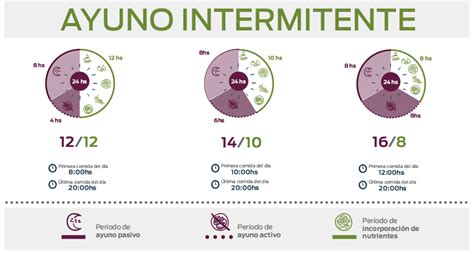 Karim A Nesr On Twitter Ayuno Intermitente Reduce Los Niveles De