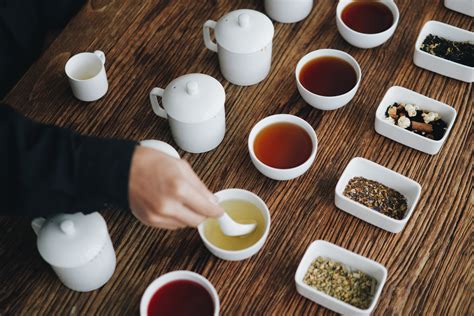 茶學 101｜什麼是六大茶類 — Tea Concepts Hong Kong