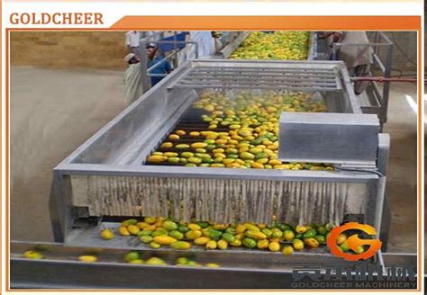 Mango Pulp Production Line Goldcheer Machinery