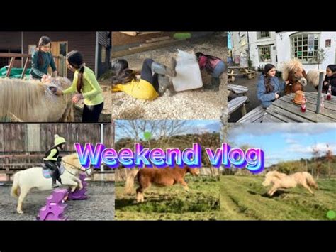 WEEK END VLOG SHETLANDS YouTube