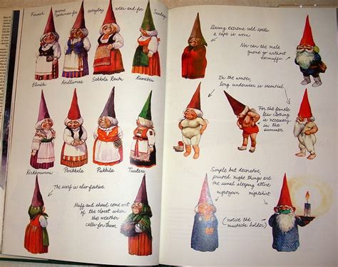 Gnomes book illustrations | Gnomes book, Flower fairies, Fairy illustration