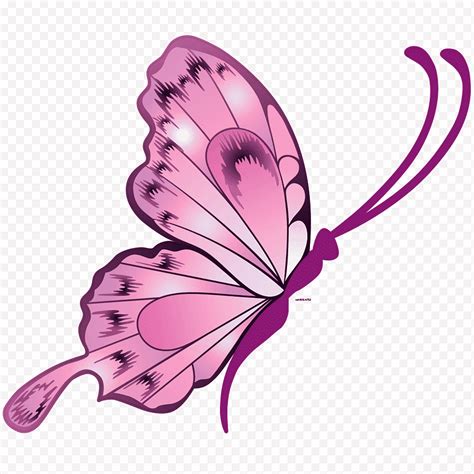 Descarga gratis Dibujo De Mariposa Pegatina Lepidópteros Violeta