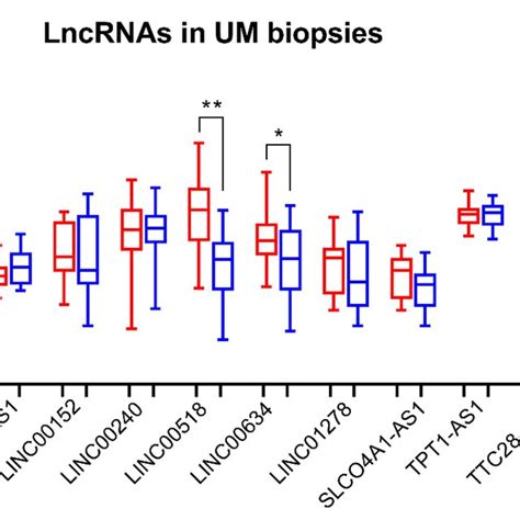 Lncrna Expression Analysis In Tissue Biopsies Analysis Was Performed