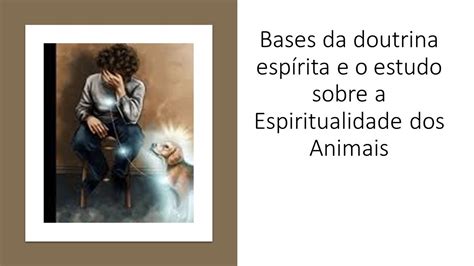 Espiritualidade Dos Animais Curso Online Gratuito Aula O