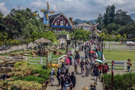 Libur Imlek Di Puncak Bogor Antara Foto