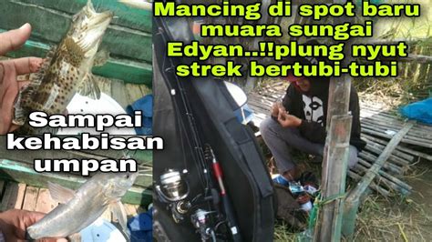 MANCING DI SPOT BARU MUARA SUNGAI STREK BERTUBI SAMPAI KEHABISAN