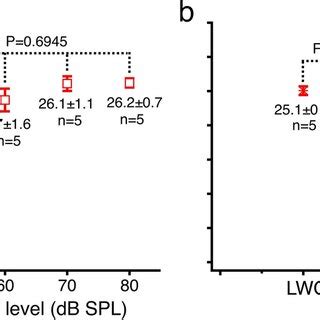 Group Delay Differences Between The Reticular Lamina And Basilar