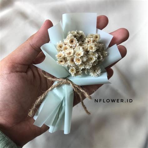 Jual Buket Mini Bunga Edelweis Kering Wrapping Premium Shopee Indonesia