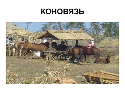 Страницы казачьей истории - online presentation