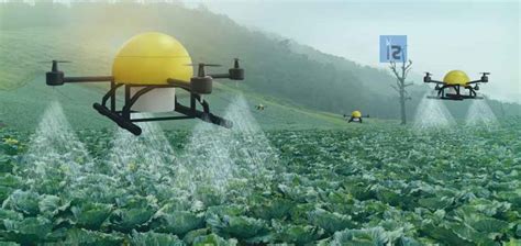 AI to address challenges in the agriculture sector - BLOCKGENI