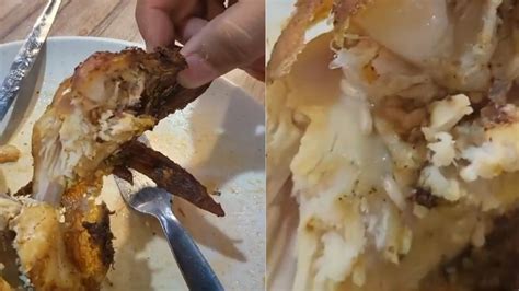 Customer Horrified After Finding Maggots In Chicken Served At Malay