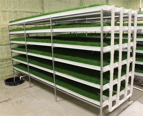 Diy Hydroponic Fodder System Pdf Cities Journal Gallery Of Photos