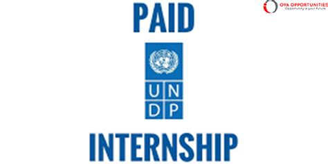 Undp Management Analyst Paid Internship Apply Now Oya