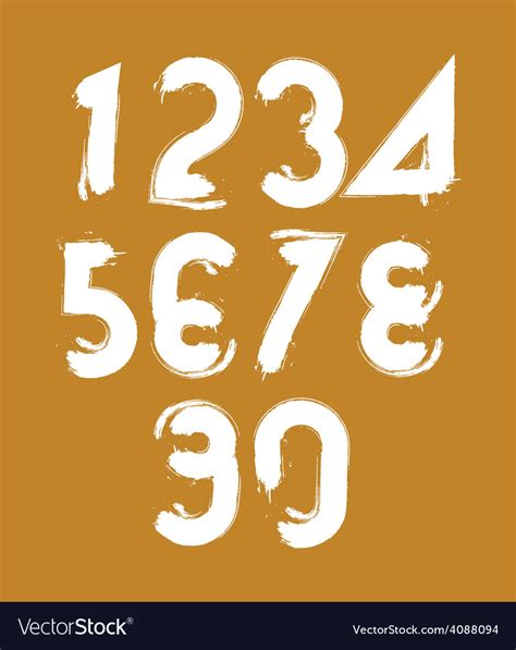 Calligraphic Brush Numbers Hand Painted White Vector Image