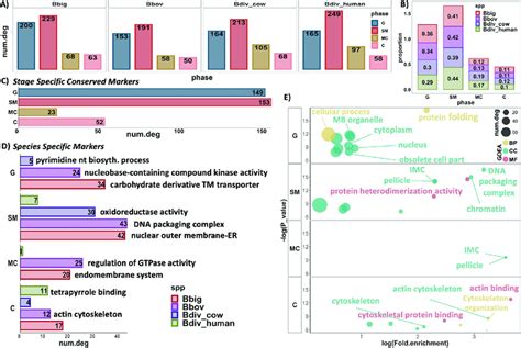 Differential Expression And Gene Ontology Enrichment Analysis Goea Download Scientific