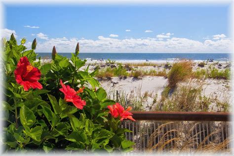 Boardwalk Scene Photograph By Carolyn Derstine Pixels