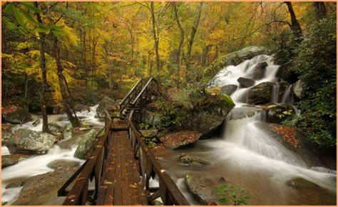 The Top 10 Biggest State Parks In North Carolina