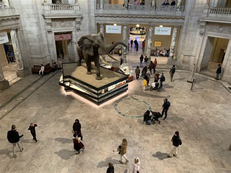 Smithsonian National Museum Of Natural History Guided Tour Getyourguide