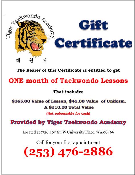 Taekwondo In University Place Tiger Taekwondo Academy