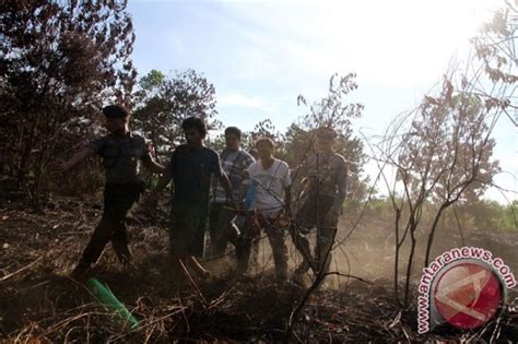 TNI Tangkap Tangan Tiga Terduga Pembakar Lahan ANTARA News