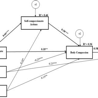 Final Path Model Standardized Path Coefficients Among Variables Are