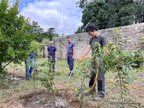 Nova sebe autóctone no Viveiro do Porto FUTURO Projeto das 100 mil