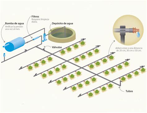 Componentes Instalaci N Riego Por Goteo Gestiriego