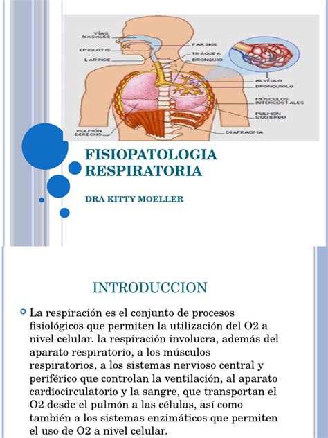 PDF FISIOPATOLOGIA RESPIRATORIA Pptx DOKUMEN TIPS